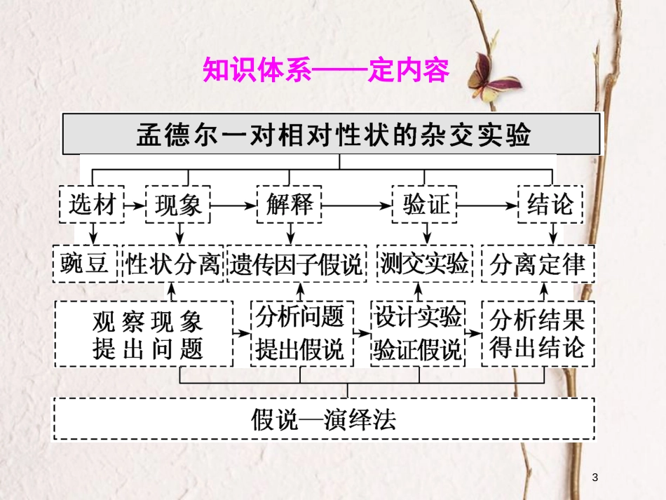 2019版高考生物一轮复习 第五单元 遗传的基本规律与伴性遗传 第一讲 孟德尔的豌豆杂交实验(一)精选课件_第3页