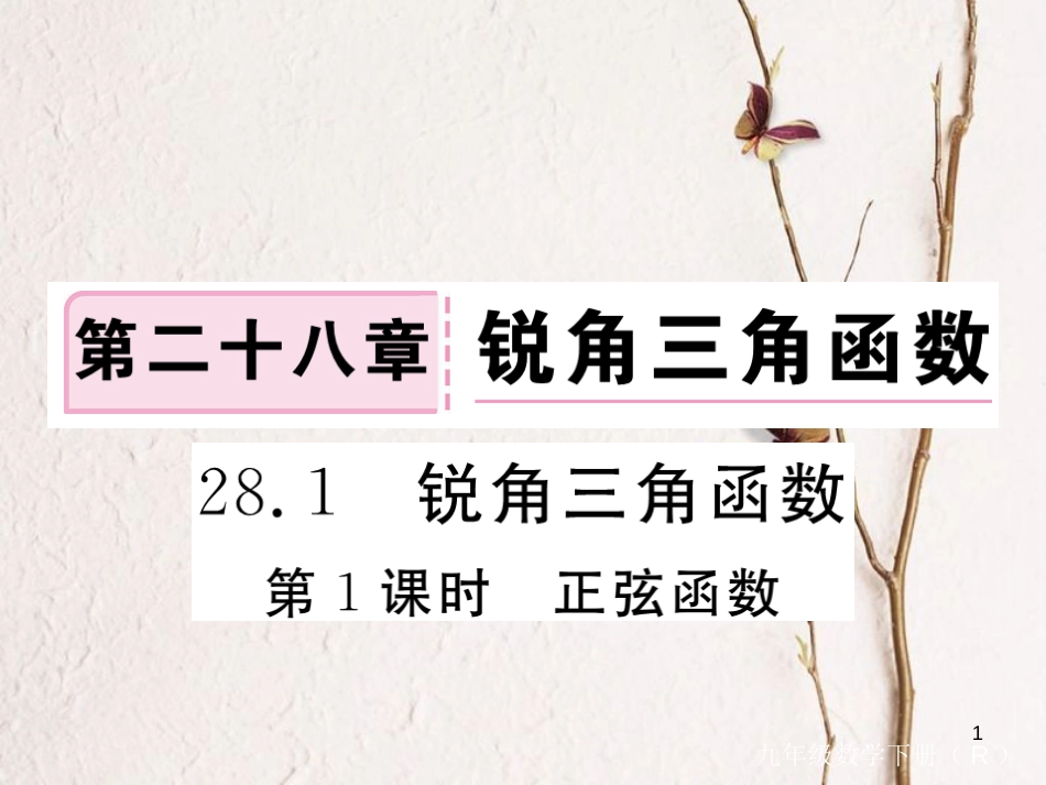 河北省九年级数学下册 28 锐角三角函数 28.1 第1课时 正弦函数练习课件 （新版）新人教版_第1页