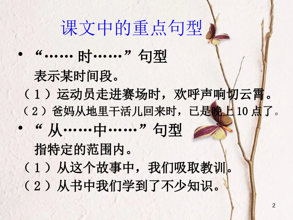 九年级语文上册 第二课《你们的愿望一定能够实现》课件4 新疆教育版_第2页