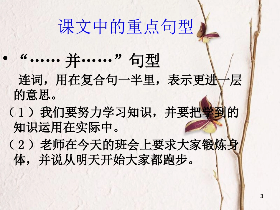 九年级语文上册 第二课《你们的愿望一定能够实现》课件4 新疆教育版_第3页