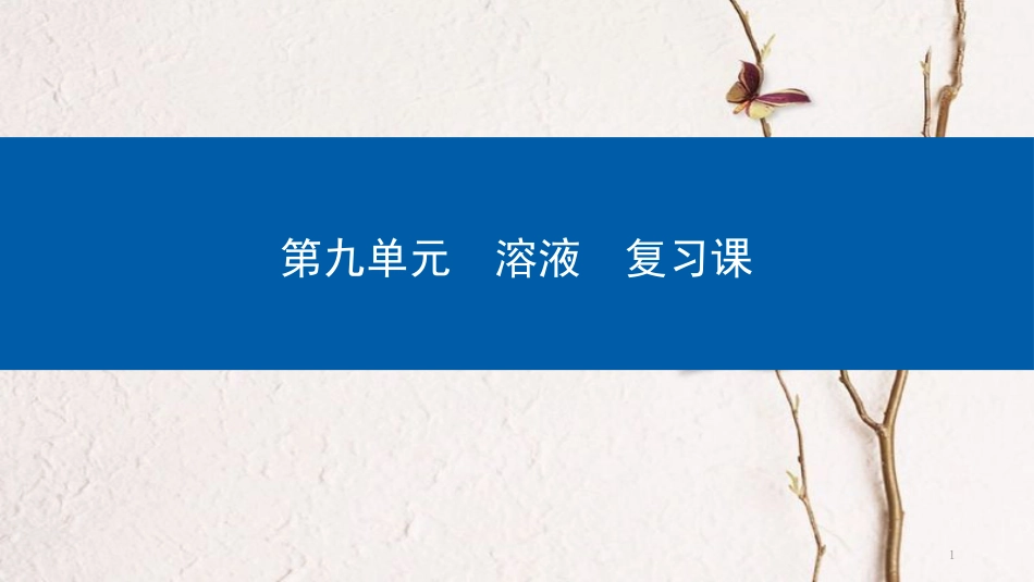 年九年级化学下册 第9单元 溶液复习课课件 （新版）新人教版_第1页