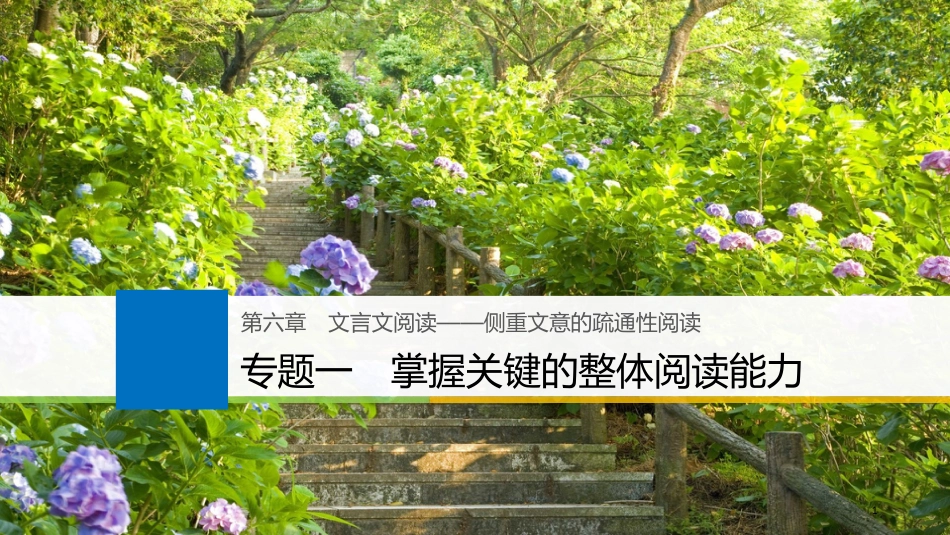 2019届高考语文一轮复习 第六章 文言文阅读-侧重文意的疏通性阅读 专题一 掌握关键的整体阅读能力课件_第1页