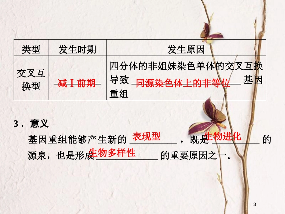 高中生物 第四章 遗传的分子基础 第17课时 基因重组、基因工程及应用课件 苏教版必修2_第3页