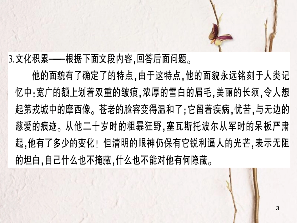九年级语文下册 第四单元 14 小男孩作业课件 语文版_第3页