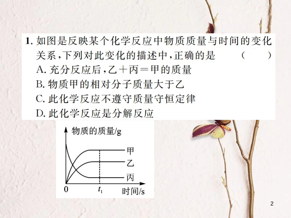 九年级化学下册 专题复习（一）坐标曲线题课件 （新版）新人教版_第2页