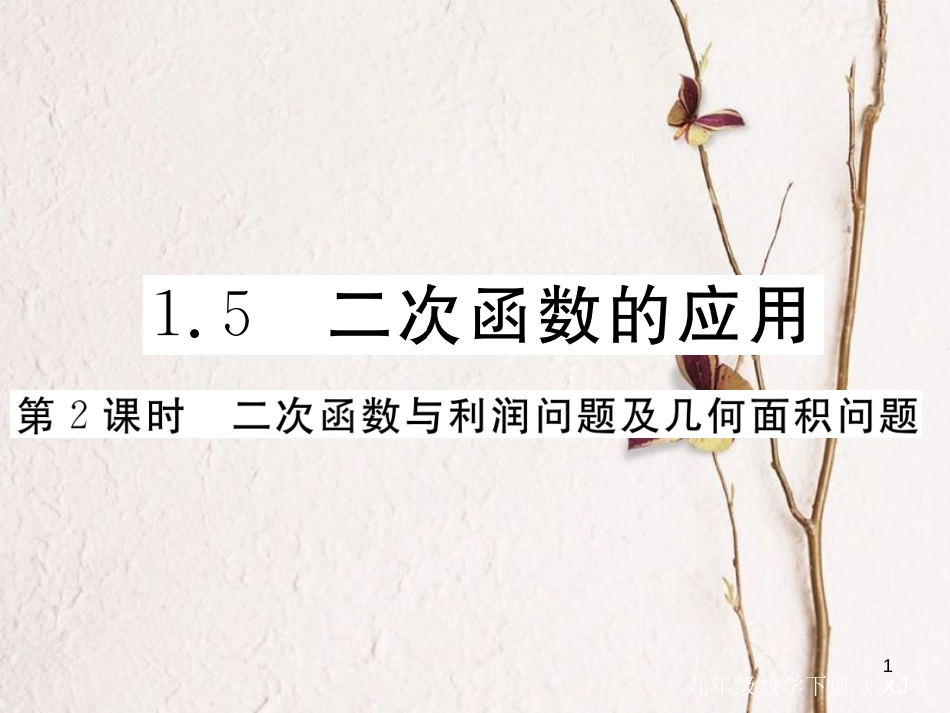九年级数学下册 1.5 二次函数的应用 第2课时 二次函数与利润问题及几何面积问题作业课件 （新版）湘教版_第1页