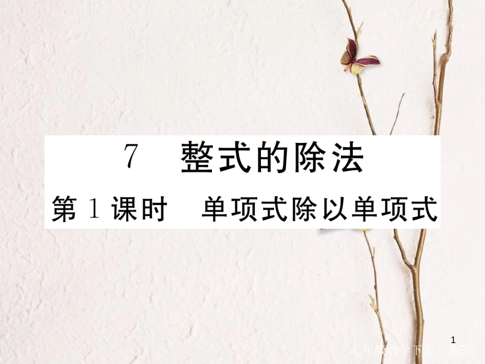 七年级数学下册 第一章 整式的乘除 1.7 整式的除法 第1课时 单项式除以单项式练习课件 （新版）北师大版_第1页