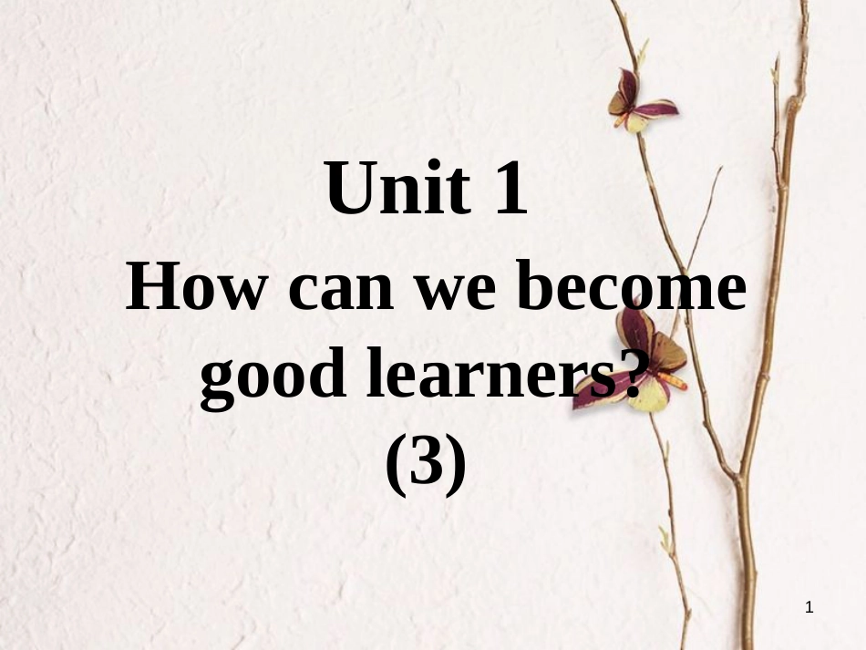 九年级英语全册 口译精练 Unit 1 How can we become good learners(3)课件 （新版）人教新目标版_第1页