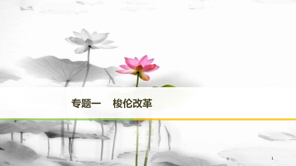 高中历史 专题一 梭伦改革 第1课 雅典往何处去课件 人民版选修1X_第1页