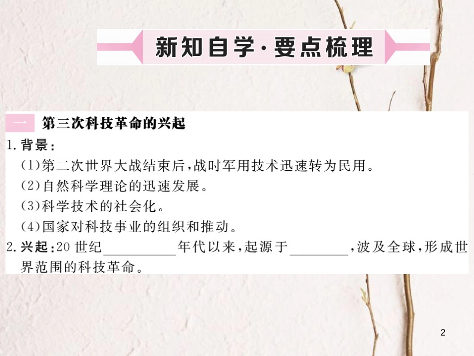 （安徽专版）九年级历史下册 第八单元 现代科学技术和文化 第17课 第三次科技革命同步测试课件 新人教版_第2页