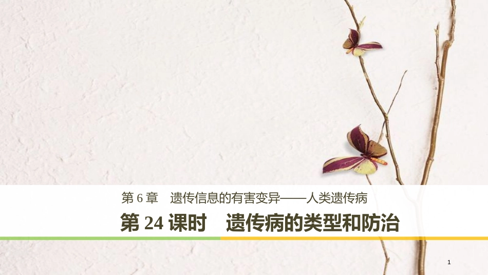 高中生物 第6章 遗传信息的有害变异——人类遗传病 第24课时 遗传病的类型和防治课件 北师大版必修2_第1页