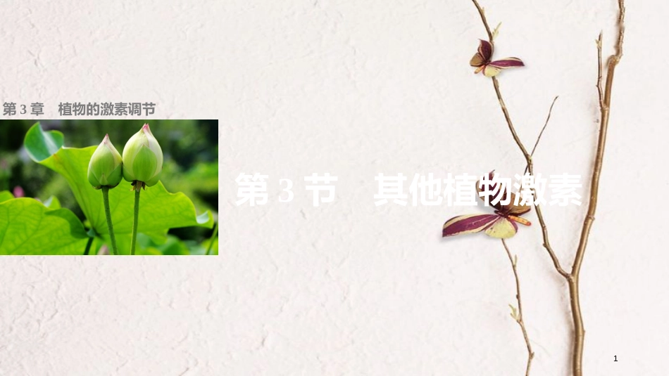 高中生物 第3章 植物的激素调节 第3节 其他植物激素课件 新人教版必修3[共32页]_第1页