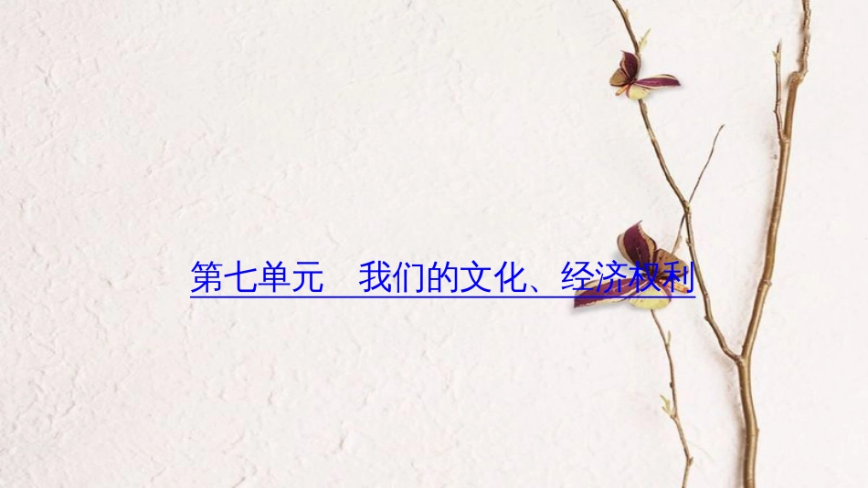 （山西地区）中考政治总复习 考点聚焦 八年级 第七单元 我们的文化、经济权利课件_第1页