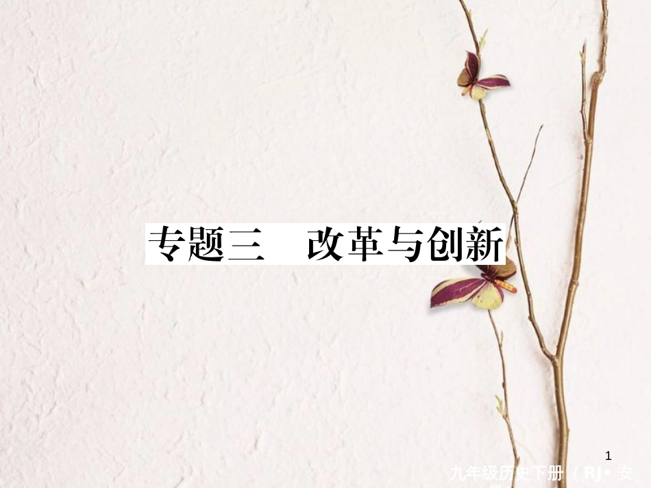 （安徽专版）九年级历史下册 专题三 改革与创新同步测试课件 新人教版_第1页