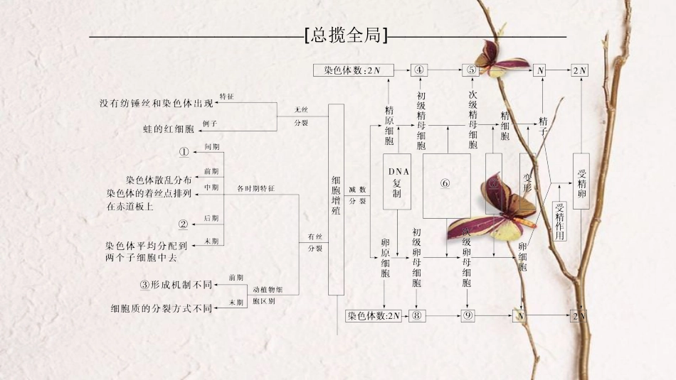（全国版）2019版高考生物一轮复习 第4单元 细胞的生命历程单元网络构建课件_第2页