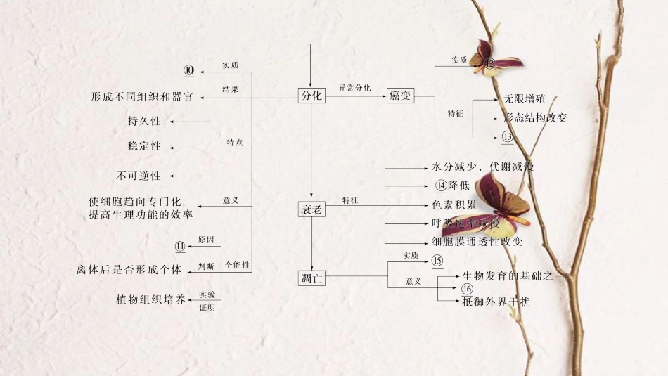 （全国版）2019版高考生物一轮复习 第4单元 细胞的生命历程单元网络构建课件_第3页