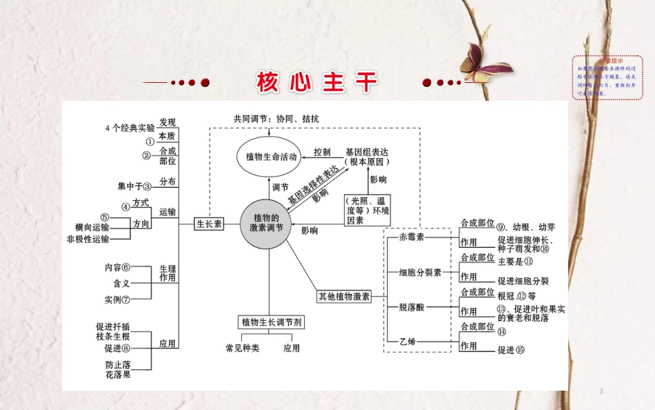 高三生物二轮复习 2.11 专题11 植物的激素调节课件_第3页