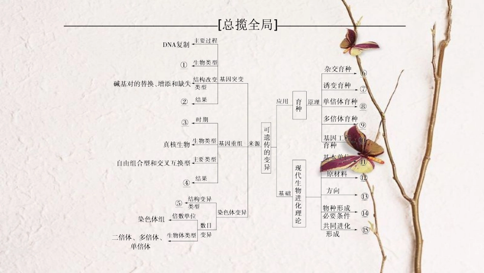 （全国版）2019版高考生物一轮复习 第7单元 生物的变异、育种和进化单元网络构建课件_第2页
