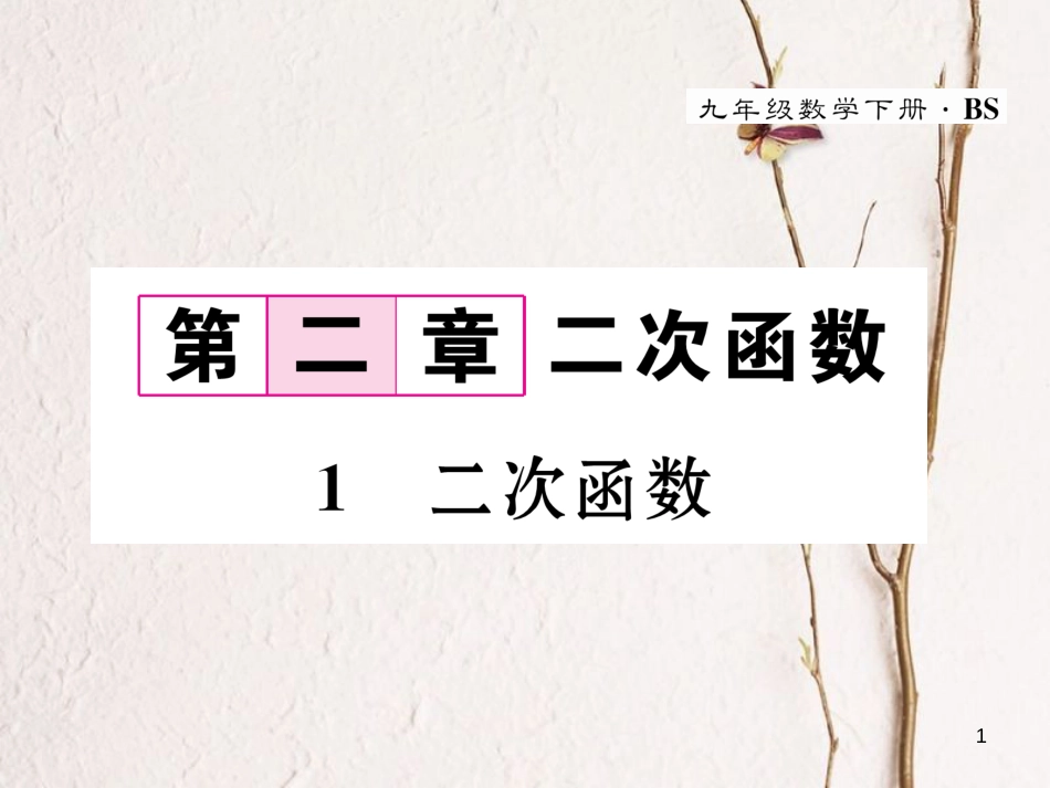 九年级数学下册 第2章 二次函数 1 二次函数作业课件 （新版）北师大版_第1页