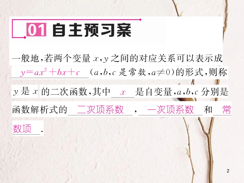九年级数学下册 第2章 二次函数 1 二次函数作业课件 （新版）北师大版_第2页