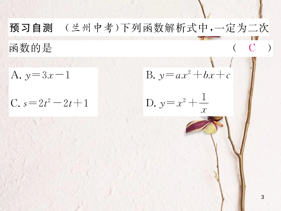 九年级数学下册 第2章 二次函数 1 二次函数作业课件 （新版）北师大版_第3页
