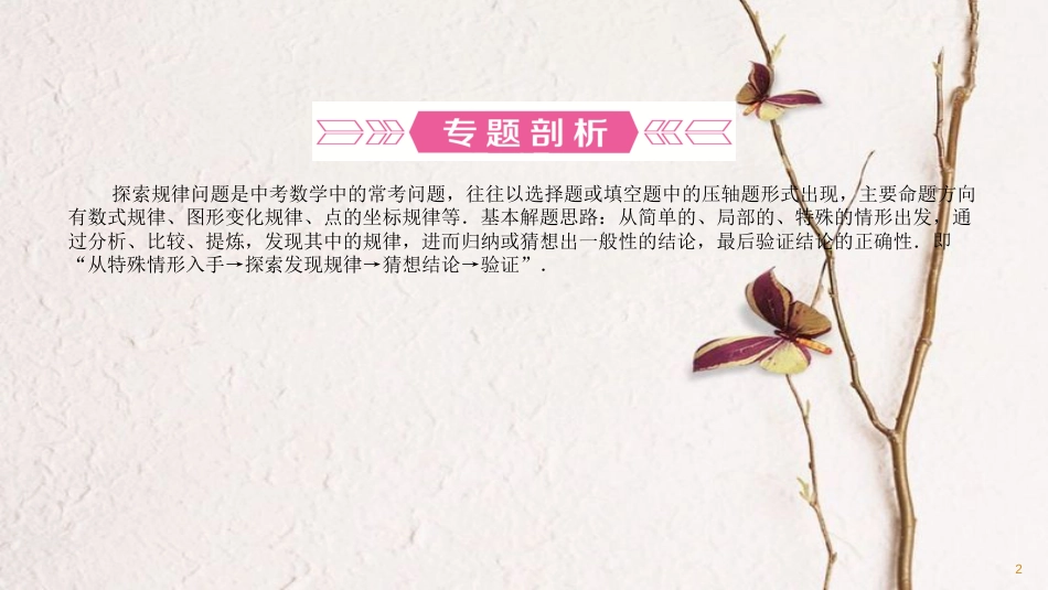 （淄博地区）中考数学总复习 专题五 从特殊到一般(探索规律)课件_第2页