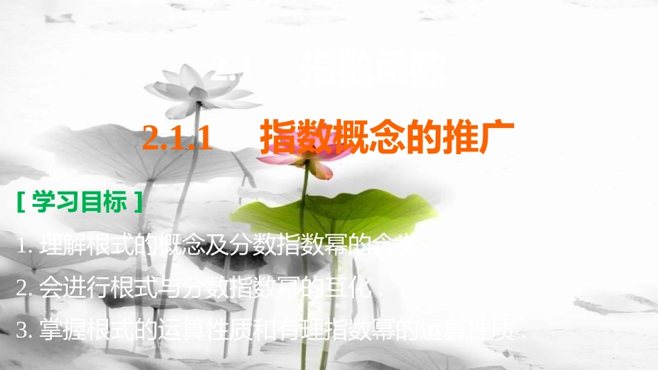 高考数学 专题2 指数函数、对数函数和幂函数 2.1.1 指数概念的推广课件 湘教版必修1_第2页