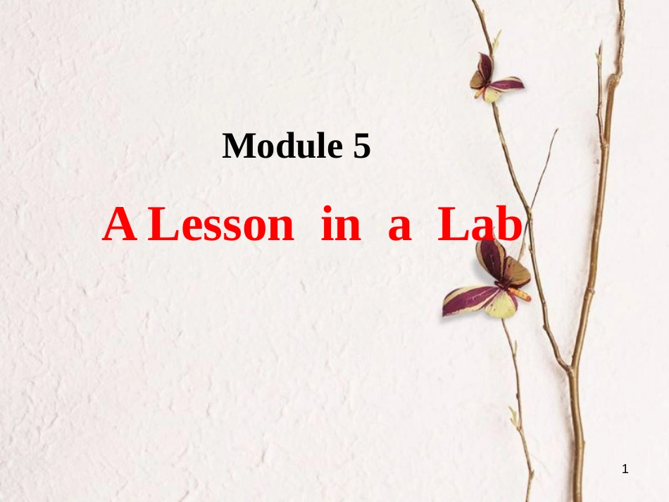 高中英语 Module 5 A Lesson in a Lab Introduction and reading课件 外研版必修1_第1页