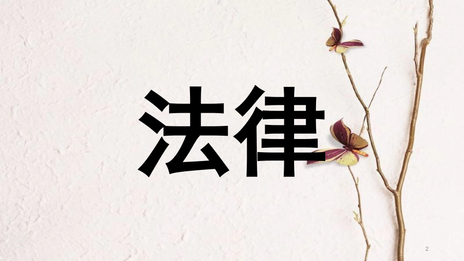 八年级道德与法治上册 第二单元 遵守社会规则 第五课 做守法的公民 第1框 法不可违课件 新人教版_第2页