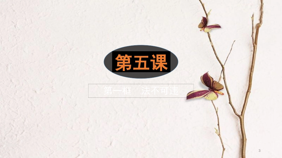 八年级道德与法治上册 第二单元 遵守社会规则 第五课 做守法的公民 第1框 法不可违课件 新人教版_第3页