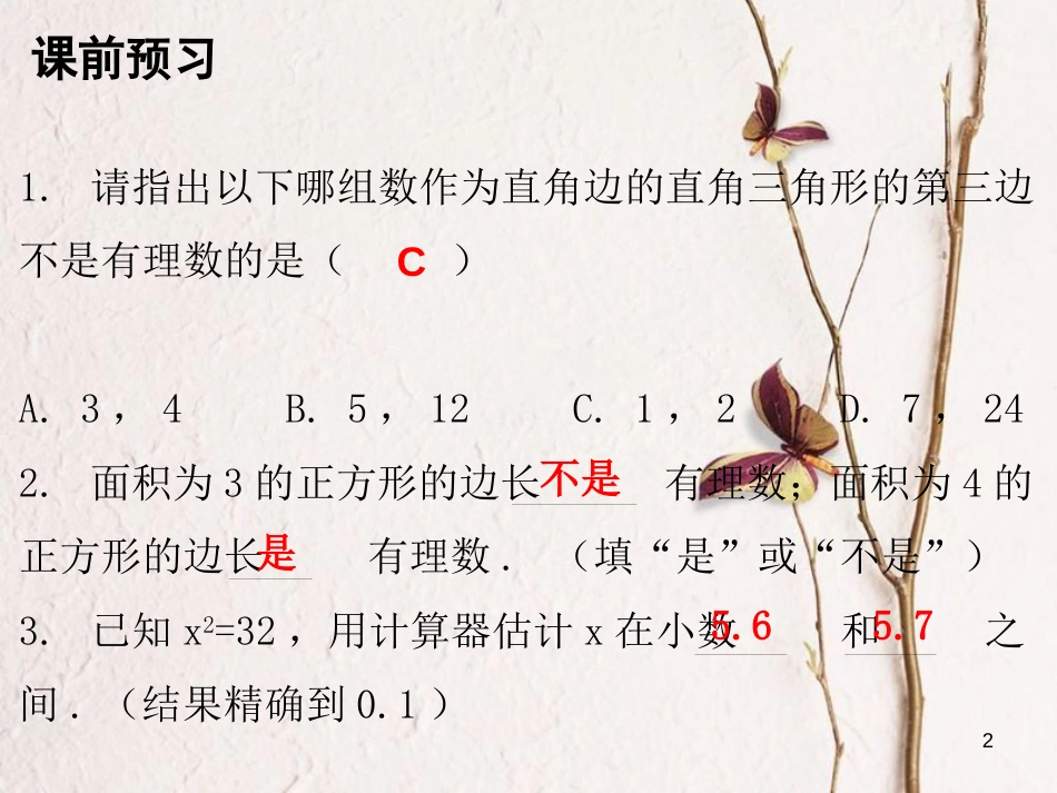 八年级数学上册 第二章 实数 1 认识无理数课件 （新版）北师大版_第2页