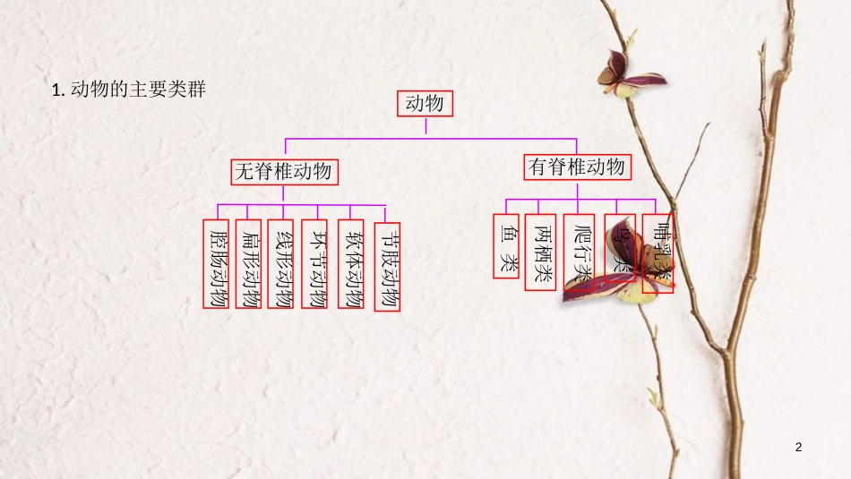 广东省河源市八年级生物上册 期末复习（一）课件 新人教版_第2页