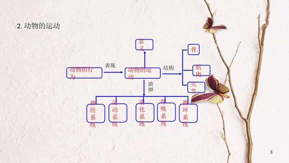 广东省河源市八年级生物上册 期末复习（一）课件 新人教版_第3页