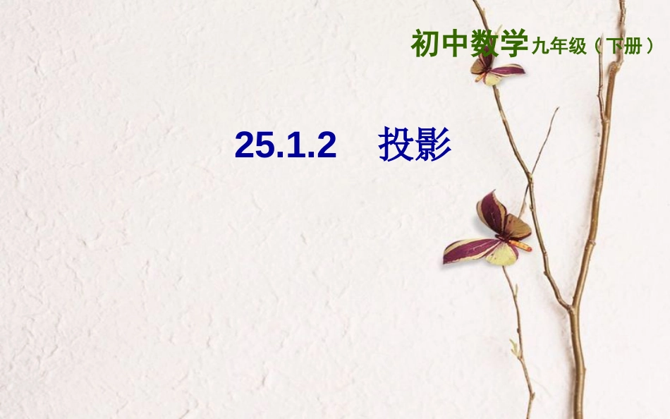 上海市金山区山阳镇九年级数学下册 第25章 投影与视图 25.1 投影 25.1.2 投影课件 （新版）沪科版_第1页