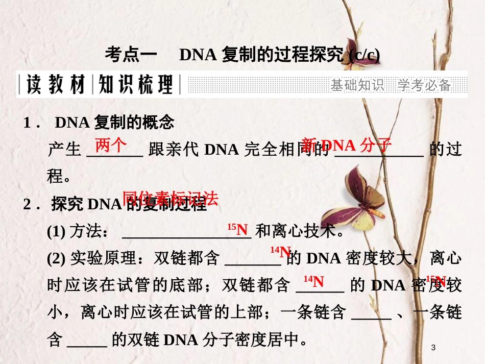 高中生物 第三章 遗传的分子基础 第13课时 遗传信息的传递同步备课课件 浙科版必修2_第3页