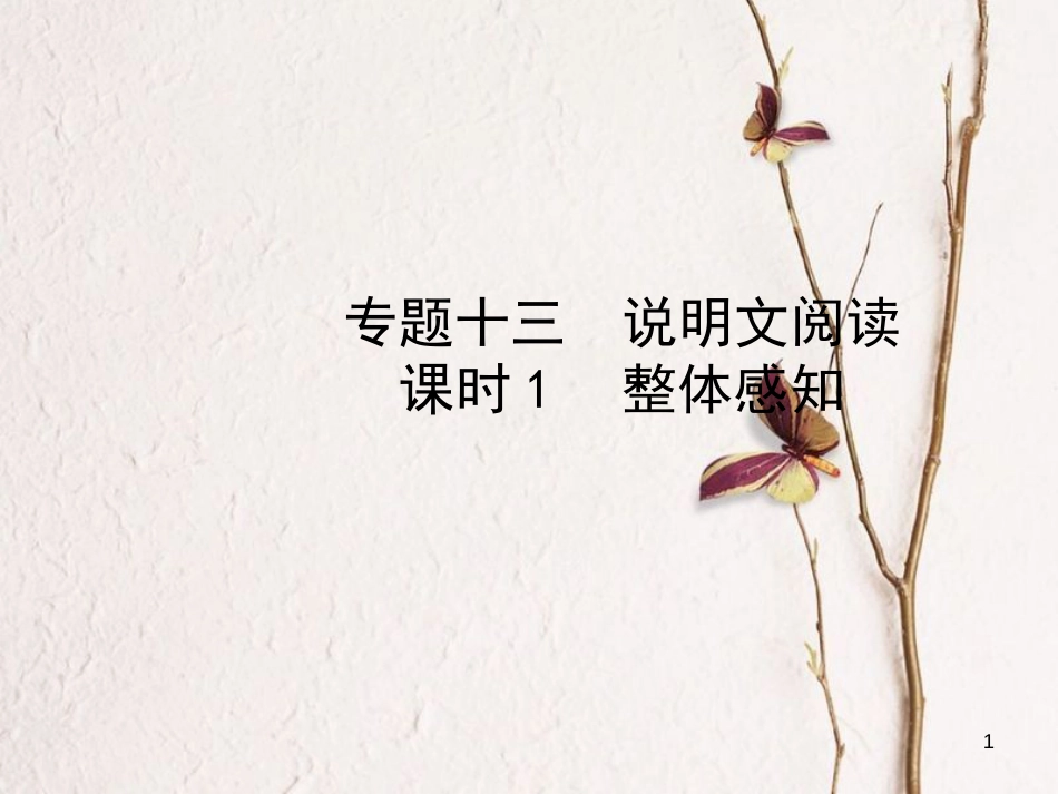 （济南专版）中考语文总复习 专题十三 说明文阅读（课时1 整体感知）课件_第1页