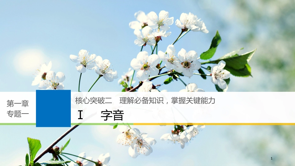 2019届高考语文一轮复习 第一章 语言文字的运用 专题一 字音与字形 核心突破二 Ⅰ字音课件_第1页