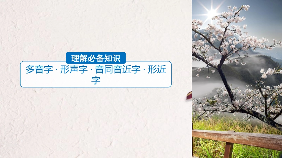 2019届高考语文一轮复习 第一章 语言文字的运用 专题一 字音与字形 核心突破二 Ⅰ字音课件_第3页