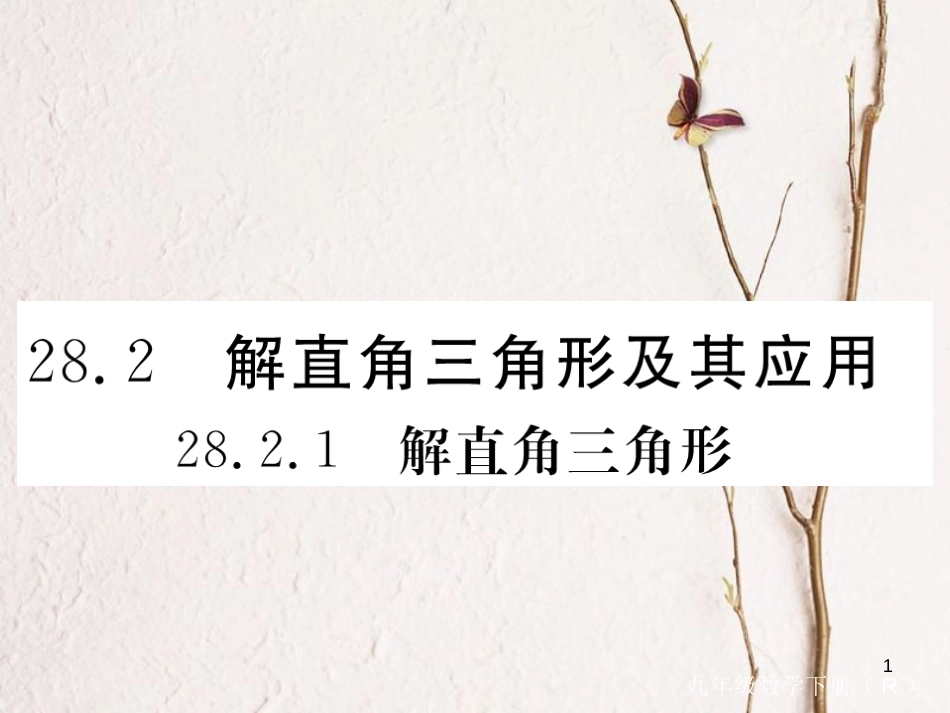 河北省九年级数学下册 28 锐角三角函数 28.2.1 解直角三角形练习课件 （新版）新人教版_第1页