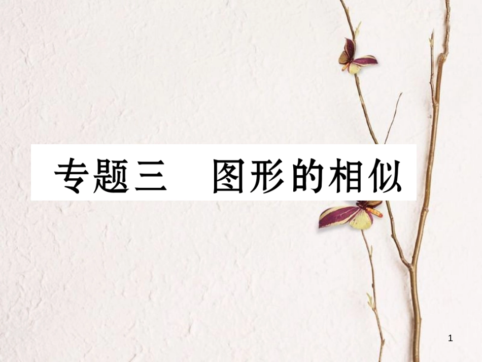 九年级数学下册 专题3 图形的相似作业课件 （新版）湘教版_第1页