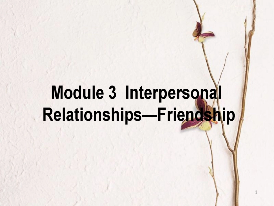 高考英语二轮复习 Module 3 Interpersonal Relationships课件 外研版选修6_第1页