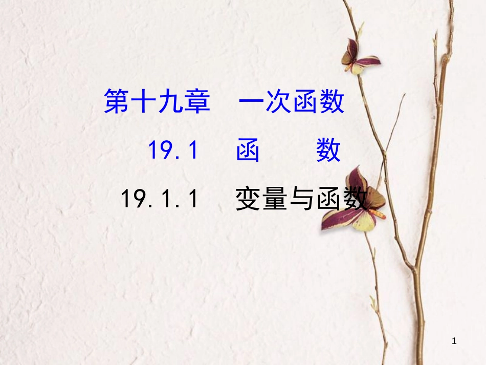 八年级数学下册 第19章 一次函数 19.1 函数 19.1.1 变量与函数课件1 （新版）新人教版_第1页