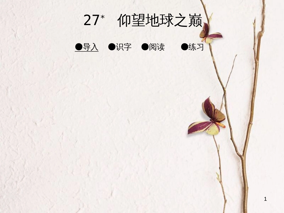 六年级语文上册 第八单元 仰望地球之巅课件2 湘教版_第1页
