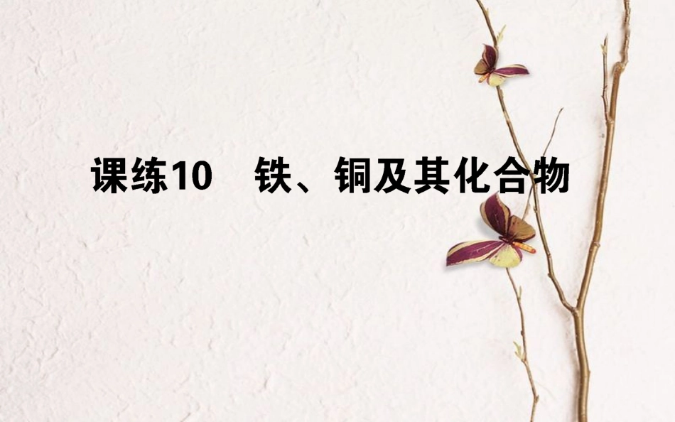 2019版高考化学总复习 刷题提分练 第三辑 金属及化合物 课练10 铁、铜及其化合物课件_第1页