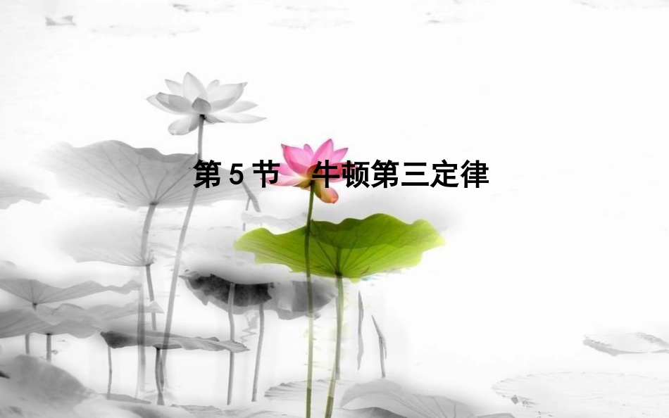 高中物理 第4章 牛顿运动定律 第5节 牛顿第三定律课件 新人教版必修1_第1页