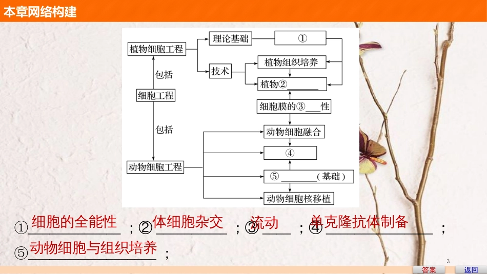 高中生物 第二章 细胞工程章末整合课件 苏教版选修3_第3页