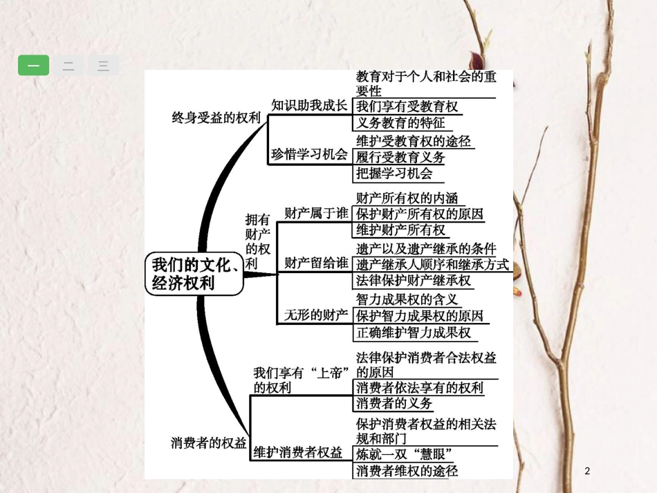 安徽省中考政治一轮复习 第一篇 知识方法固基 第四部分 八下 第三单元 我们的文化、经济权利课件_第2页