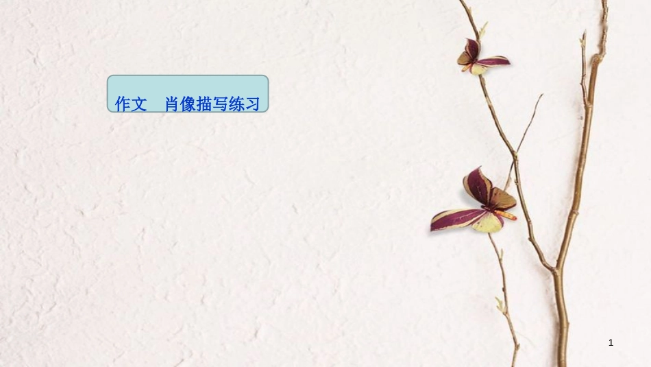 吉林省双辽市八年级语文上册 作文 肖像描写练习1-2课时课件 长春版_第1页