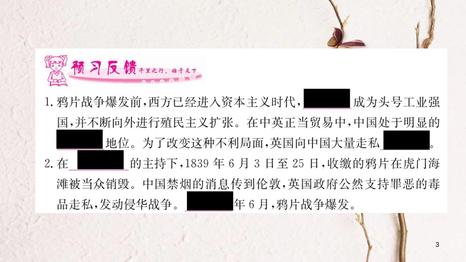 八年级历史上册 第一单元 中国开始沦为半殖民地半封建社会 1 鸦片战争课件 新人教版_第3页
