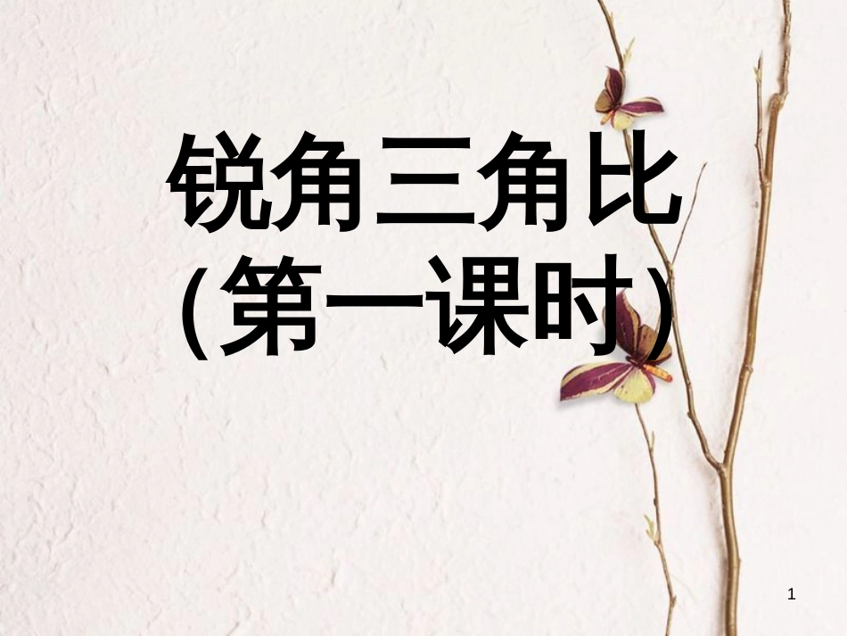 九年级数学上册 2.1 锐角三角比课件 （新版）青岛版_第1页